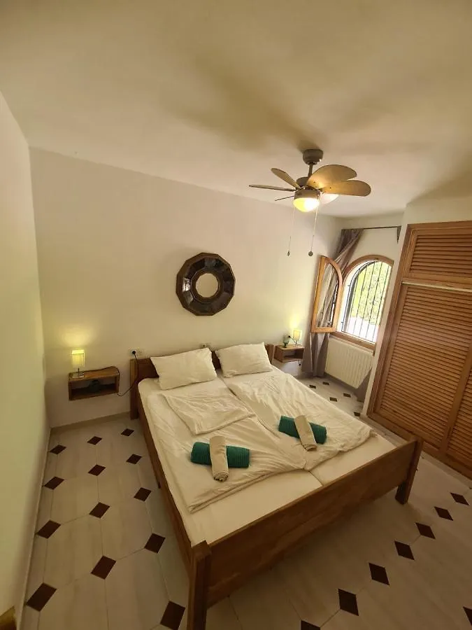 Private Villa Mit Eigenem Pool Unter Palmen Cala Llenya  Spain