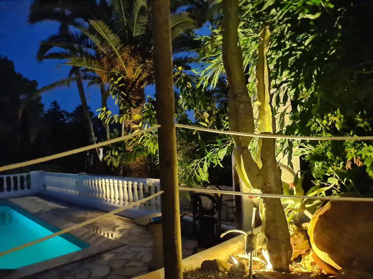 Private Villa Mit Eigenem Pool Unter Palmen Cala Llenya  Spain