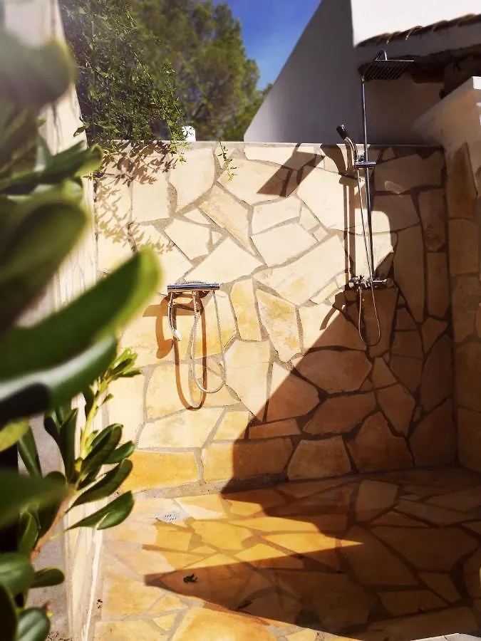 Private Villa Mit Eigenem Pool Unter Palmen Cala Llenya  Cala Llenya (Ibiza)