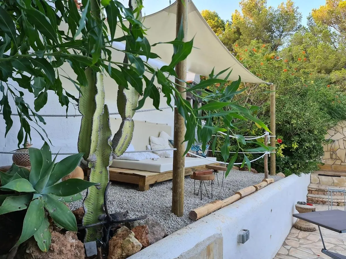 Private Villa Mit Eigenem Pool Unter Palmen Cala Llenya  Spain
